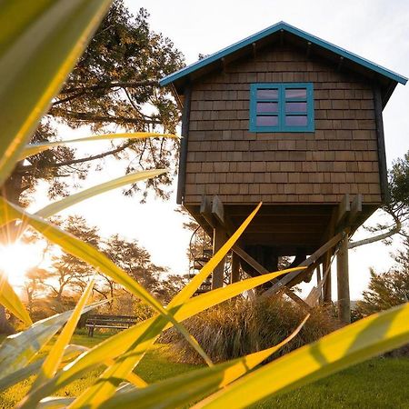 Tui Ridge Eco Cabins Aongatete Eksteriør billede