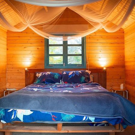 Tui Ridge Eco Cabins Aongatete Eksteriør billede