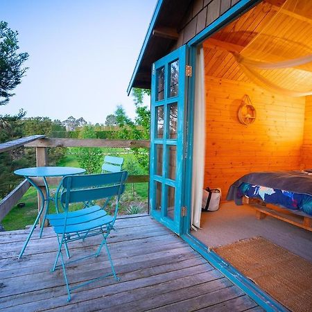Tui Ridge Eco Cabins Aongatete Eksteriør billede