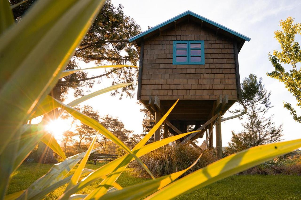 Tui Ridge Eco Cabins Aongatete Eksteriør billede