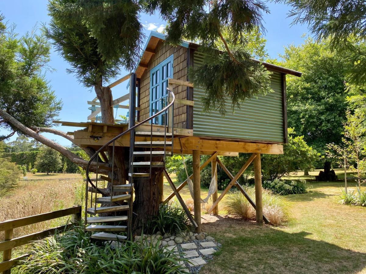 Tui Ridge Eco Cabins Aongatete Eksteriør billede