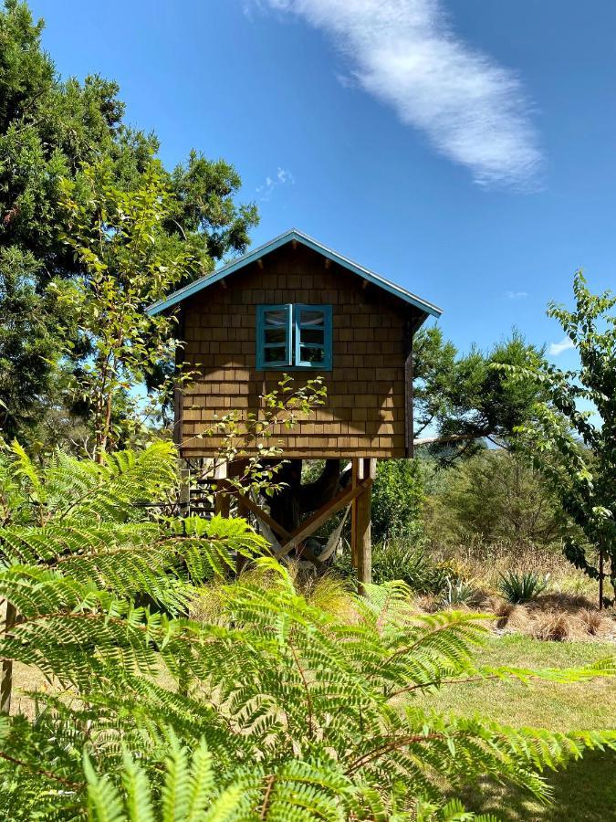Tui Ridge Eco Cabins Aongatete Eksteriør billede